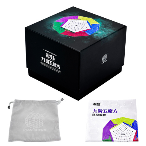 DianSheng Galaxy Petaminx Magnetic