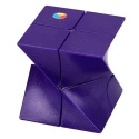 DianSheng Twisted 2x2 Purple